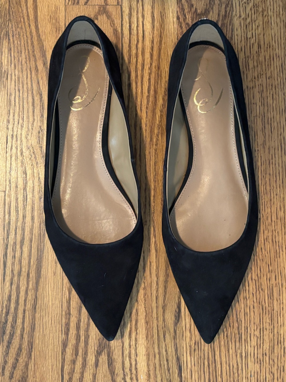 Sam Edelman Suede Pointed Toe Ballet Flats - Size 9.5 US